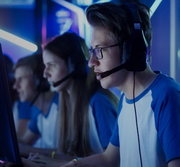 The illustration of Proleague project