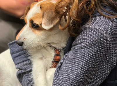 A person holds a white spotted dog in her hands