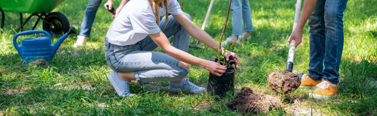 People working together on planting trees