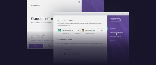 The screenshots of UI of Blip desktop wallet
