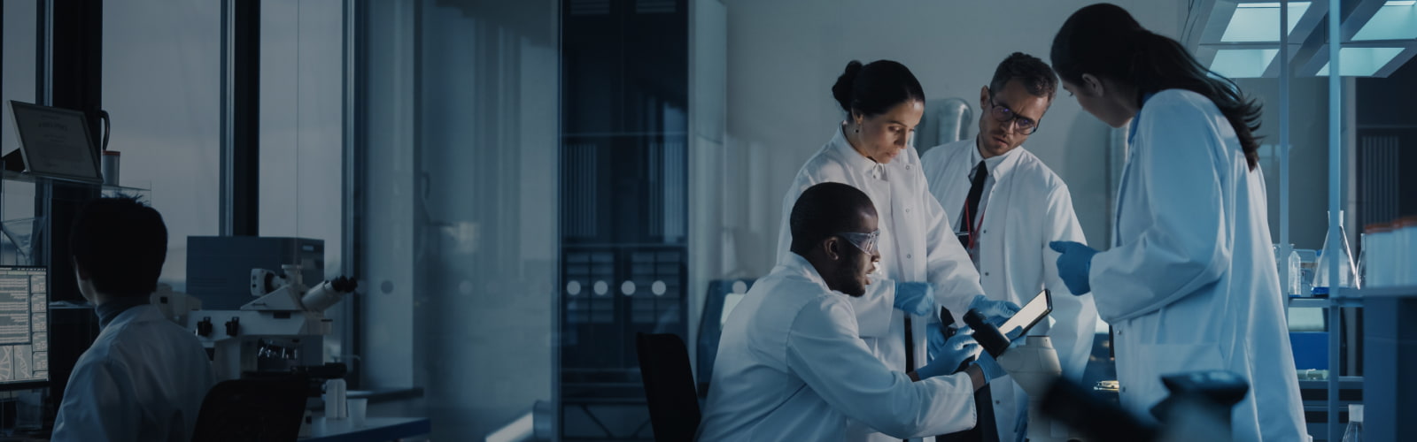 Healthcare Software Development Services