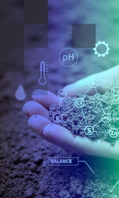 The library with circle-style bookshelves