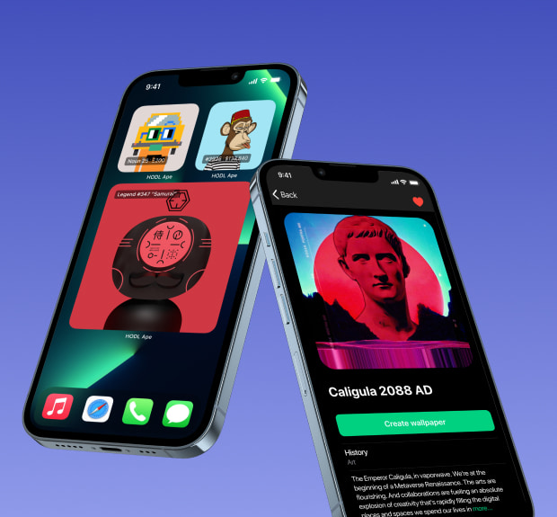 The illustration of Hodl APE project