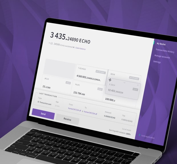 The illustration of Multi-currency desktop wallet project