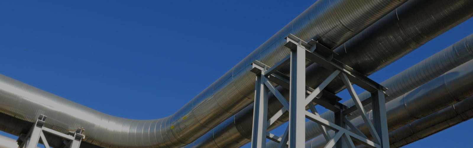 Real Estate Software Development Services