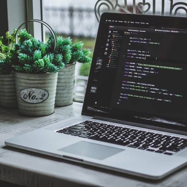 A laptop containing code snippets standing on the window sill next to plants