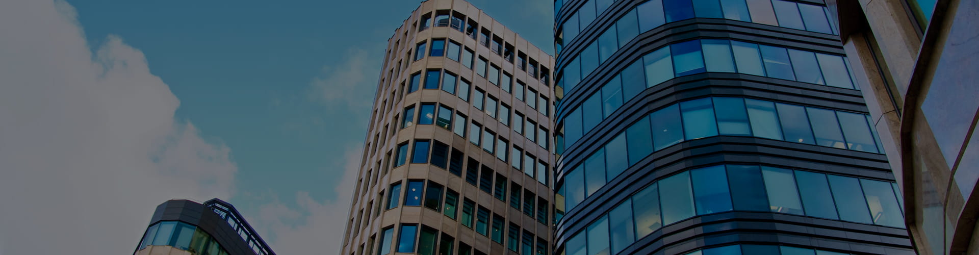 Real Estate Software Development Services