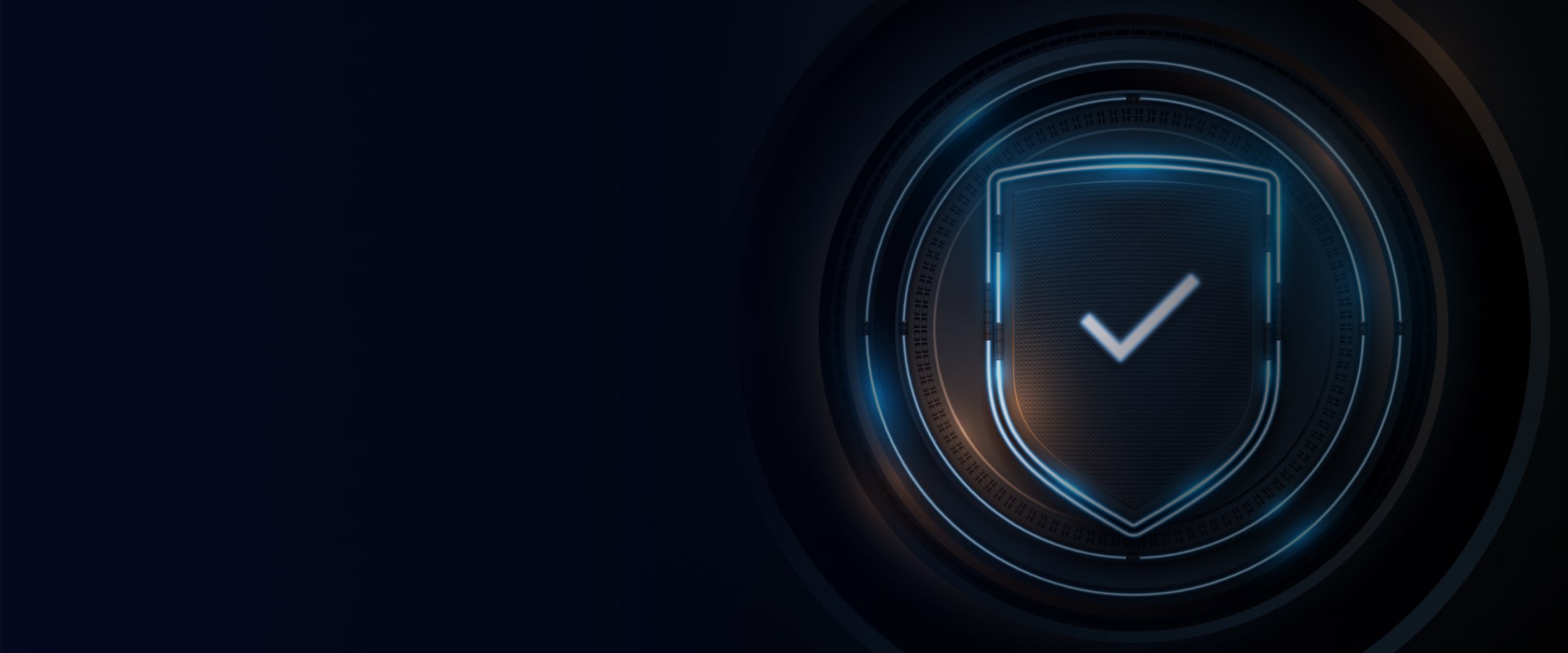 Security audit and risk management