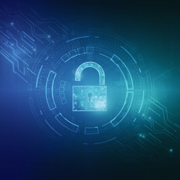 Cyber security audit services