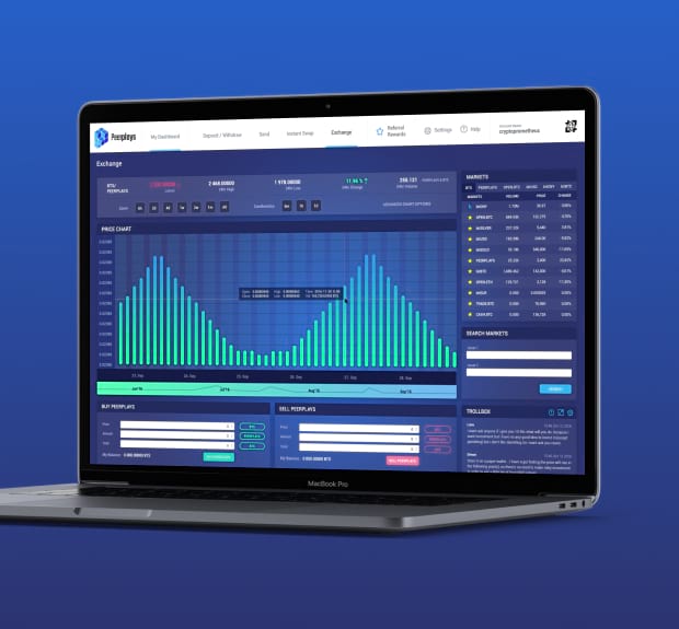 The illustration of Peerplays project