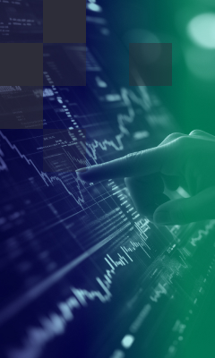 Financial Software Development & Consulting