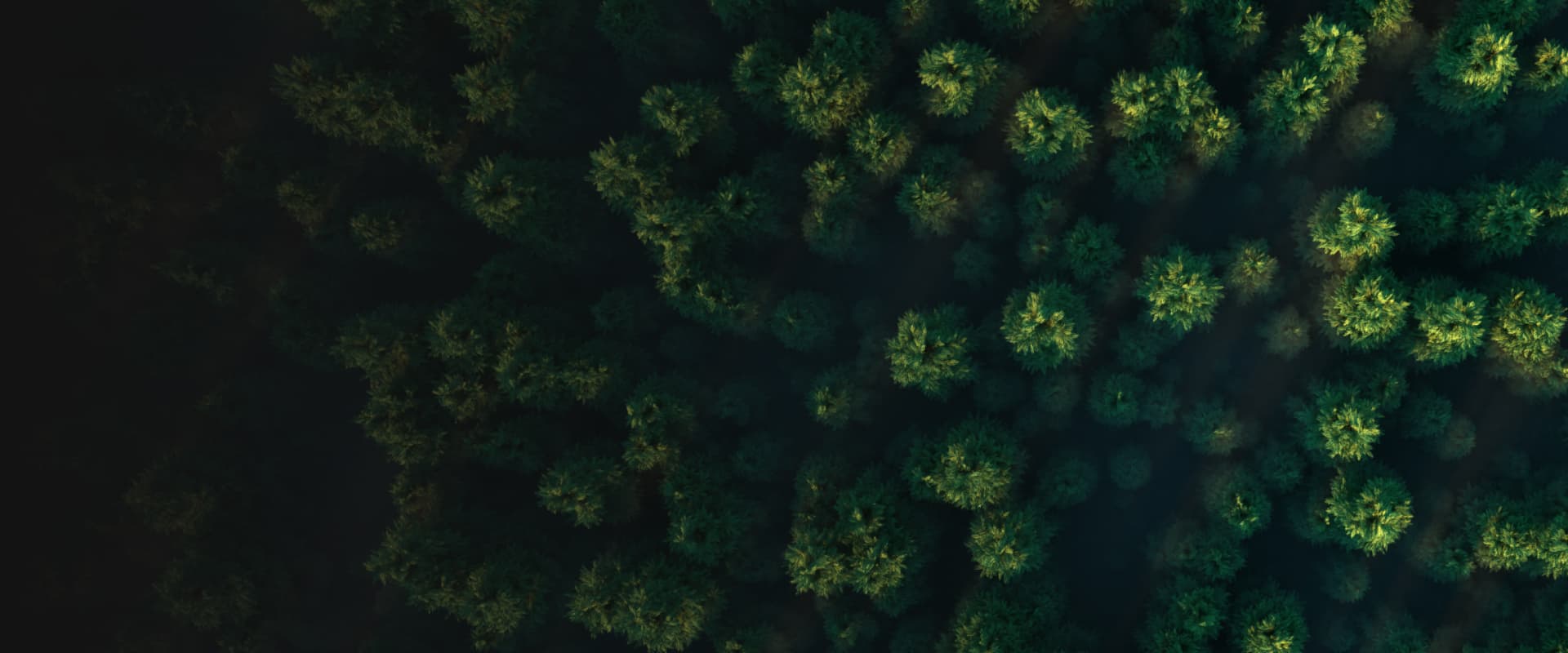 Tokenization of carbon credits