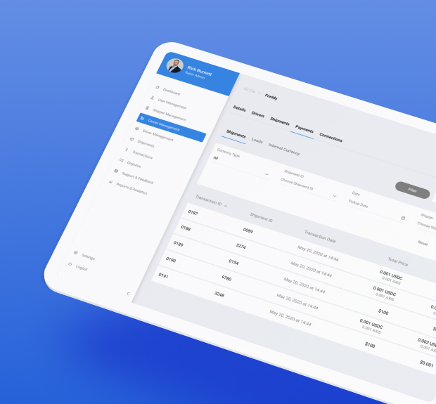 The illustration of LaneAxis Consulting project