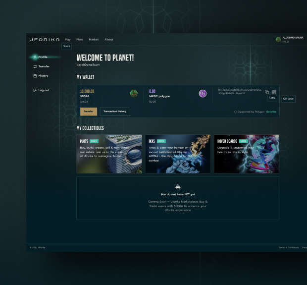 The illustration of Uforika project